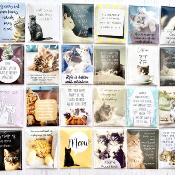 Cat Lovers Tea - 50 Loose Unboxed Tea Envelopes