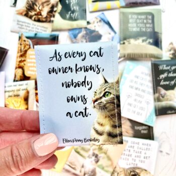 Cat Gifts: Handcrafted Tea Gift Set for Cat Lovers - a Gift for Anyone Who Loves Cats