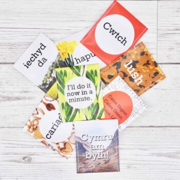 Welsh Tea Designs - 50 Loose Unboxed Tea Envelopes