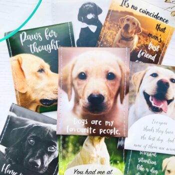 Labrador Gifts: Handcrafted Tea Gift Set for Labrador Lovers - Black, Chocolate and Golden Labs