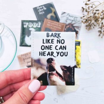 Border Collie Gifts: Handcrafted Tea Gift Set for Border Collie Lovers