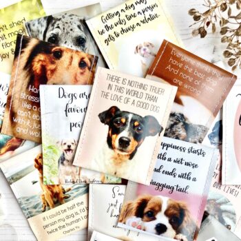 Dog Lovers Tea - 50 Loose Unboxed Teabag Designs